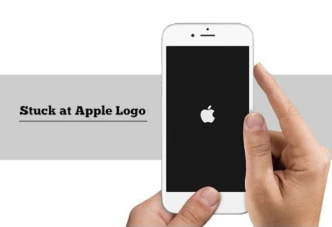 fix iPhone stuck on the Apple Logo